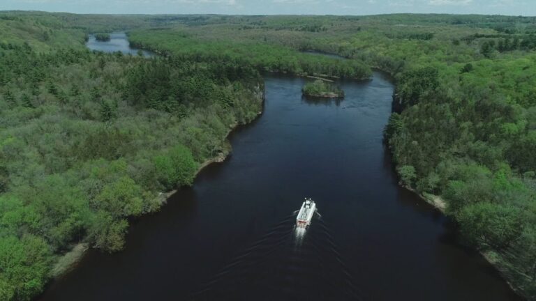 Fun & Unique Boat Tours for Families | Kids Love It!