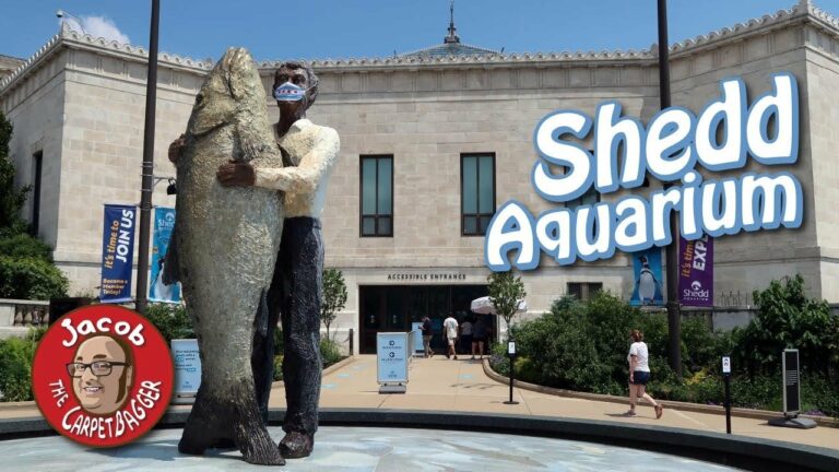 Exploring the Underwater Wonders at Chicago’s Shedd Aquarium