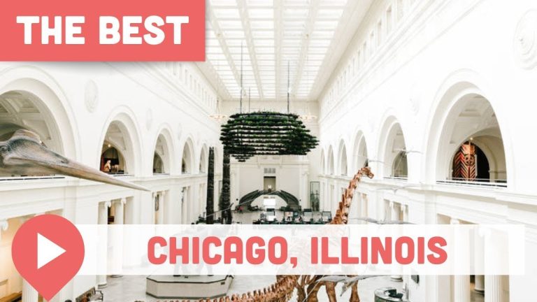 Discover Chicago’s Rich History at These Museums