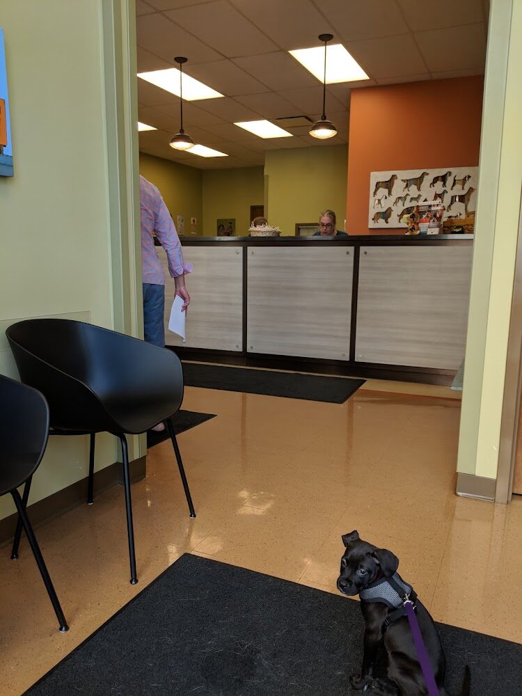 Wicker Park Veterinary Clinic