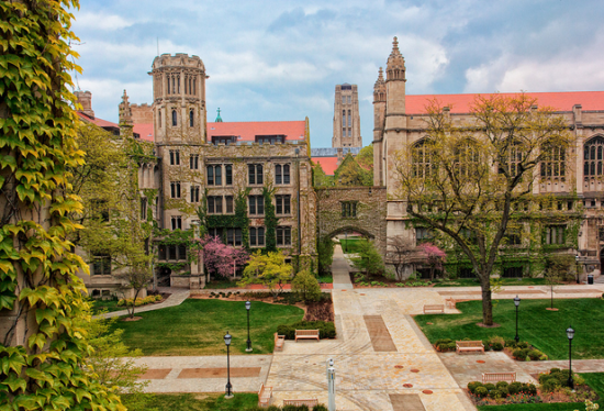 The University of Chicago