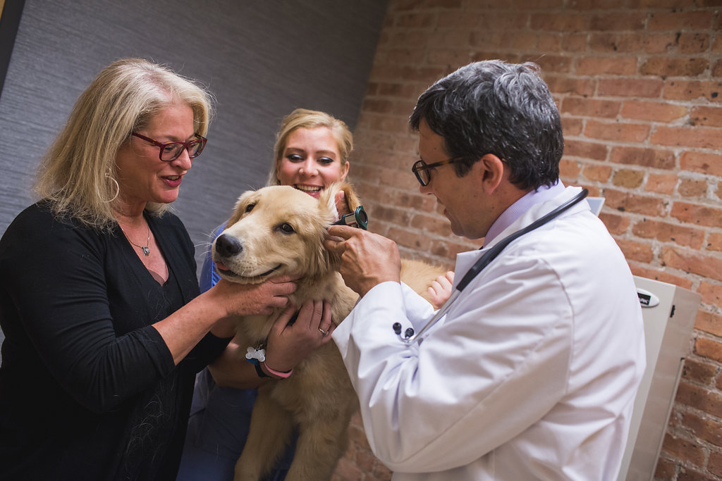 West Loop Veterinary Care