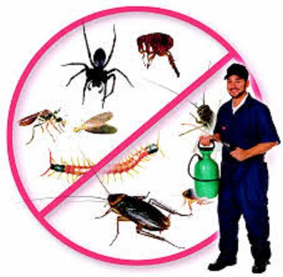 Pest Control Chicago