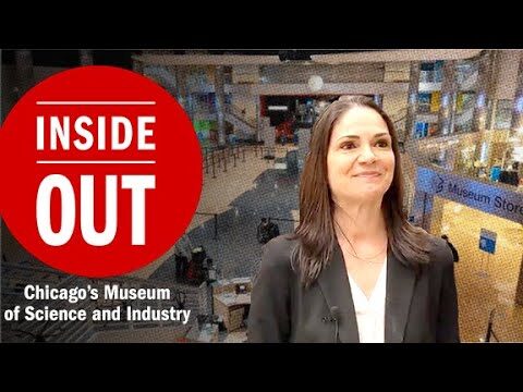 Exploring the Wonders of the Museum of Science & Industry Chicago