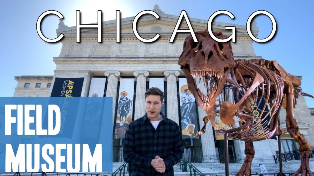 Exploring the Rich History of the Field Museum in Chicago