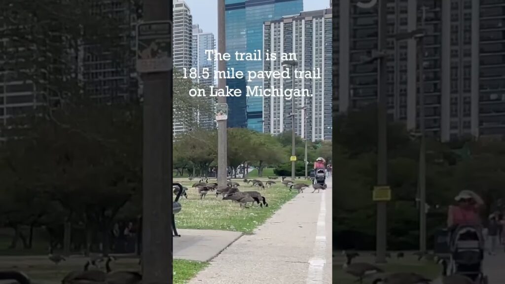 Exploring the Scenic Chicago Lakefront Walking Trail